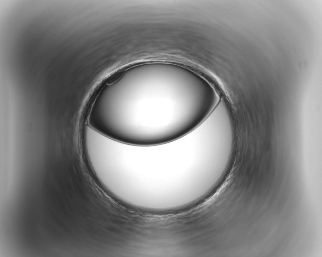 X0000096431506200801241013