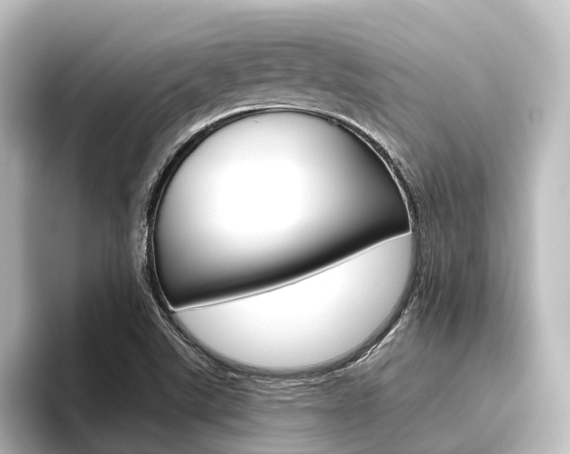X0000096431507200801241013