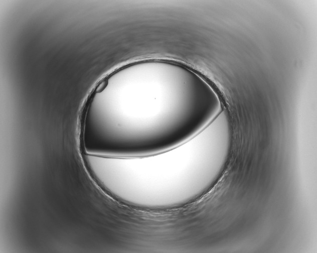 X0000096431508200801241013