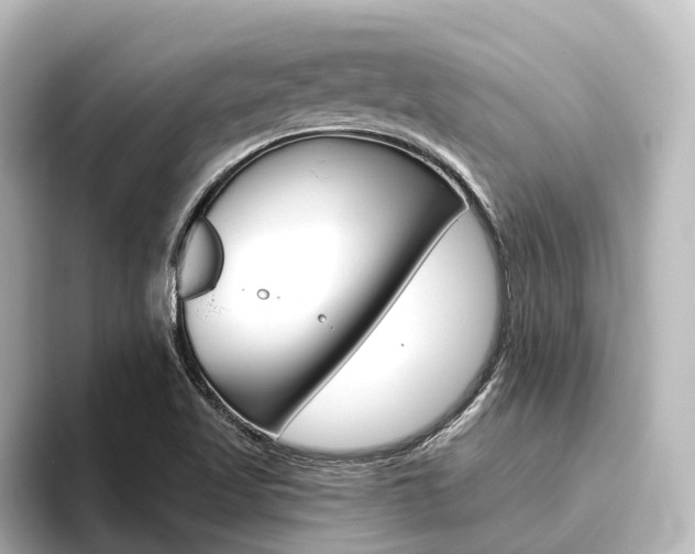 X0000096431509200801241013