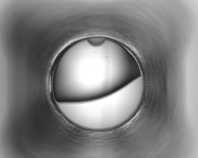 X0000096431510200801241013