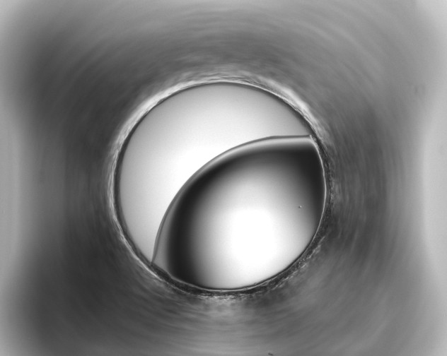 X0000096431512200801241013