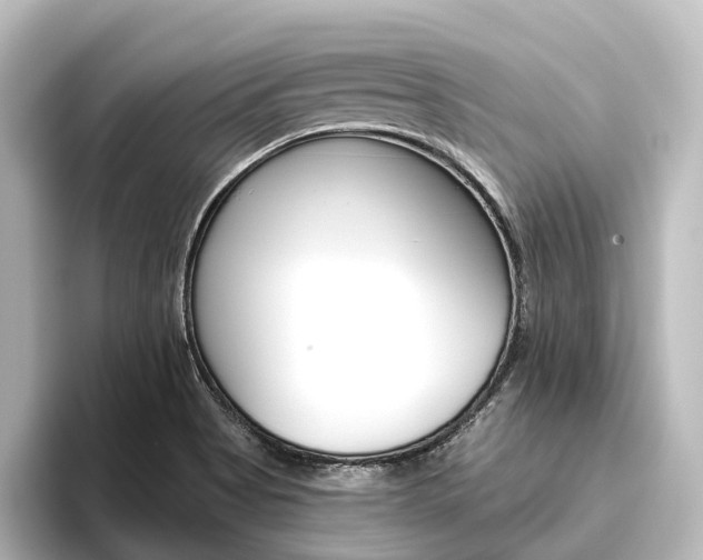 X0000096431513200801241013
