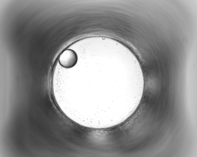 X0000096431514200801241013