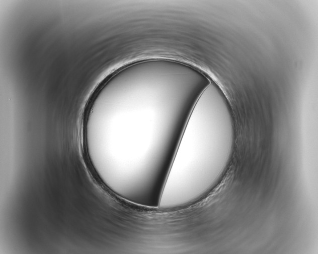 X0000096431515200801241013
