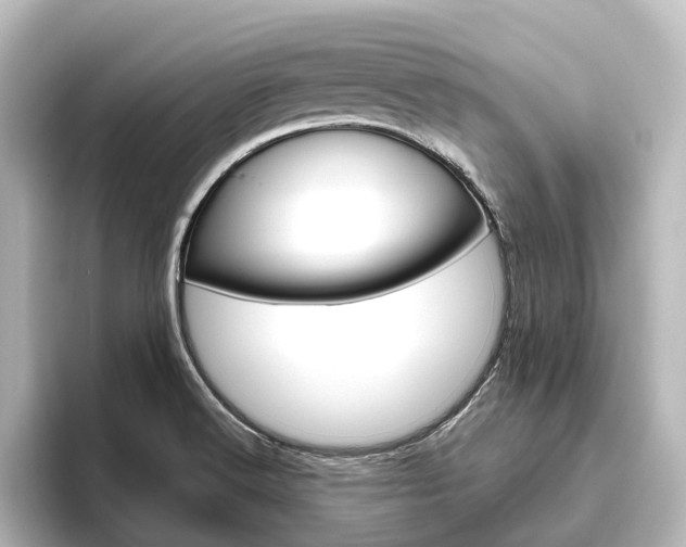X0000096431516200801241013