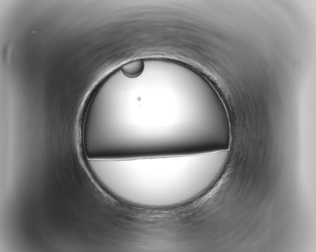 X0000096431517200801241013