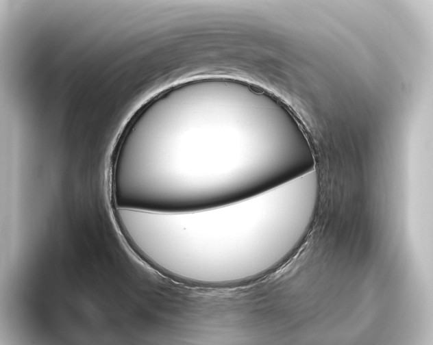 X0000096431519200801241013