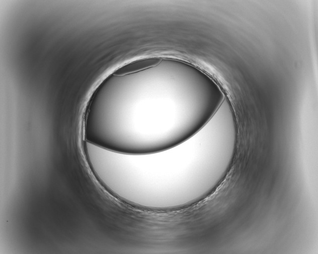 X0000096431520200801241013