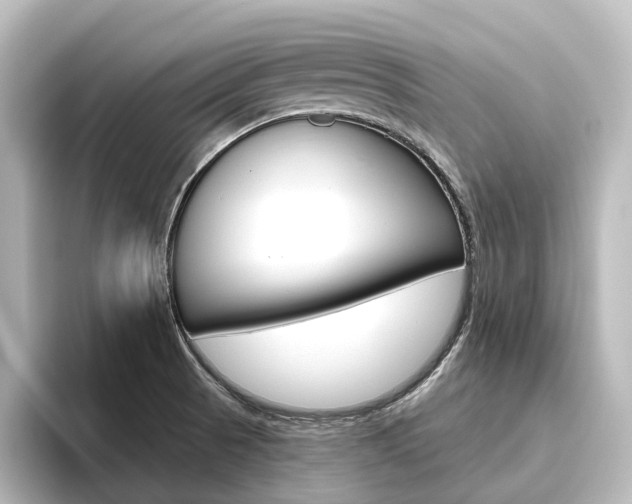 X0000096431521200801241013