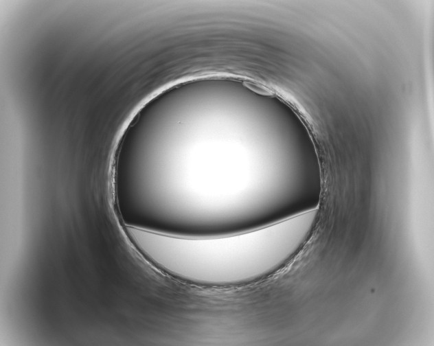 X0000096431524200801241013