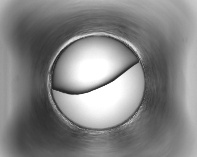 X0000096431526200801241013