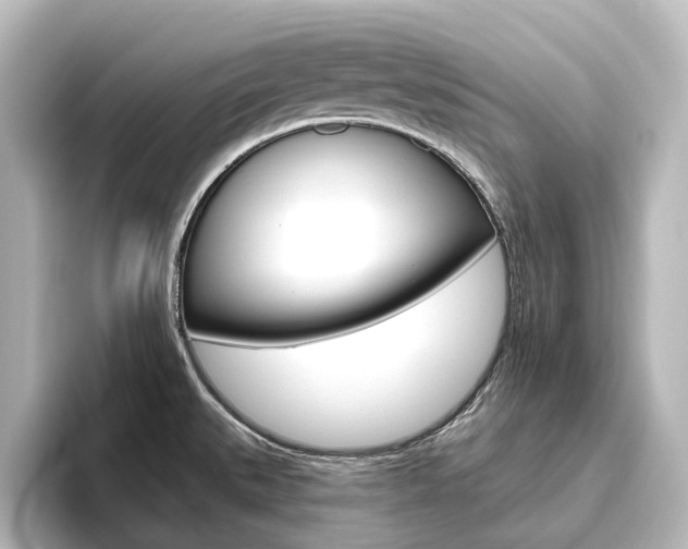 X0000096431527200801241013