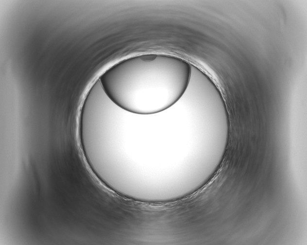 X0000096431528200801241013