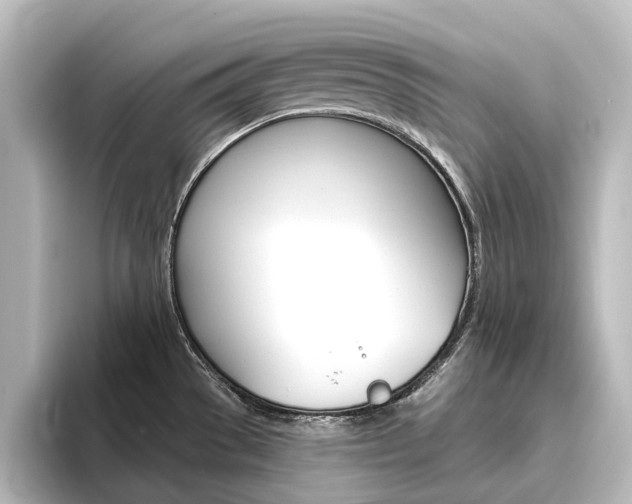 X0000096431529200801241013