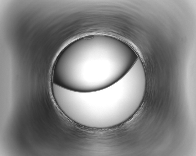 X0000096431530200801241013
