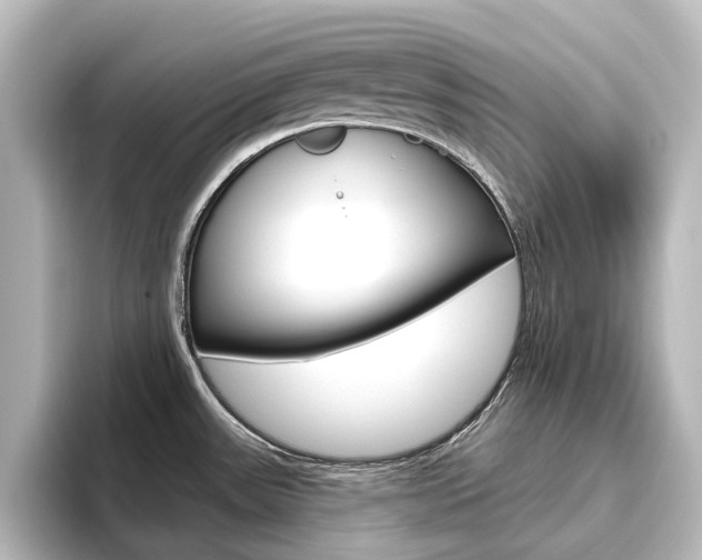 X0000096431531200801241013