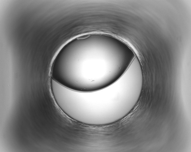 X0000096431532200801241013