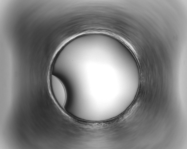 X0000096431533200801241013
