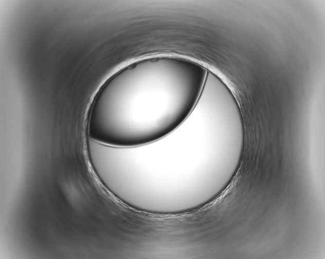X0000096431534200801241013