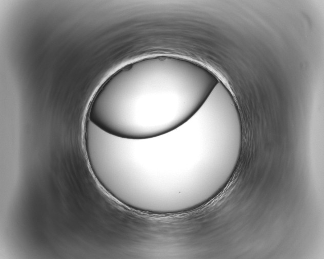 X0000096431535200801241013
