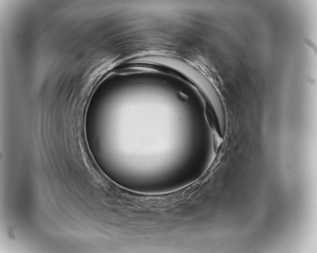 X0000096430001200801241349