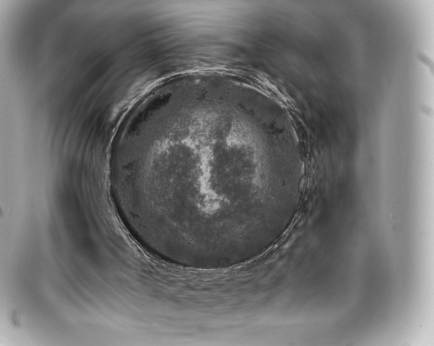 X0000096430002200801241349