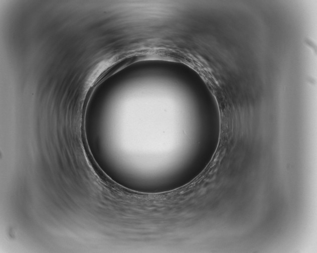 X0000096430003200801241348