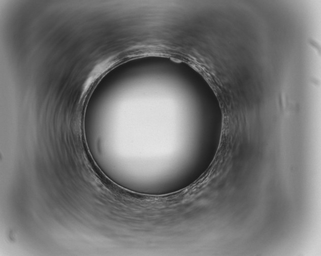 X0000096430004200801241348