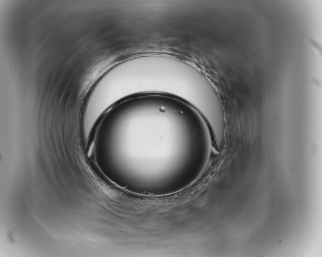 X0000096430005200801241348