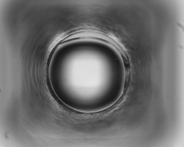 X0000096430007200801241348