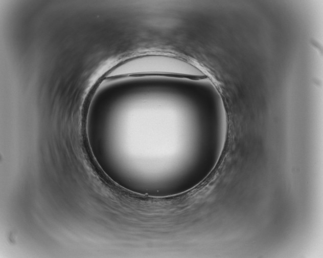 X0000096430008200801241348
