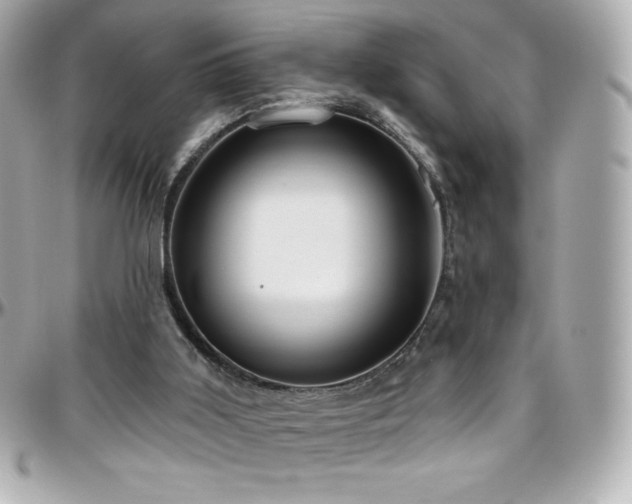 X0000096430011200801241348
