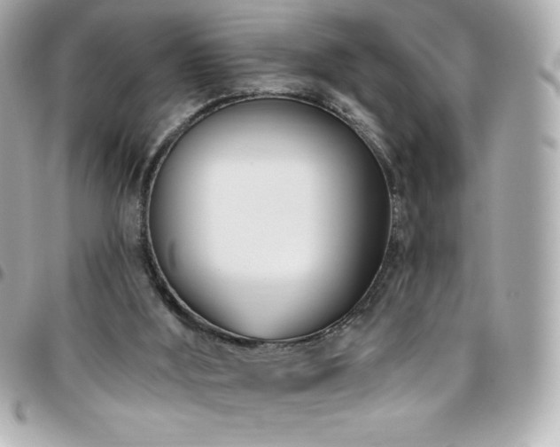 X0000096430012200801241348