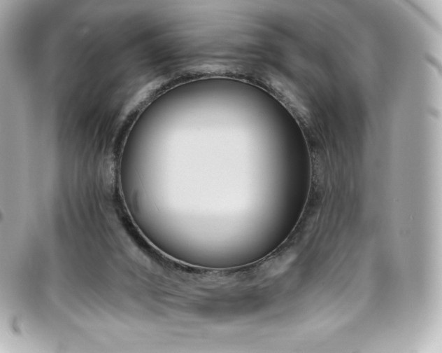 X0000096430016200801241348