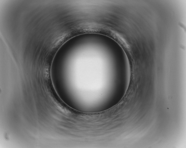 X0000096430017200801241348