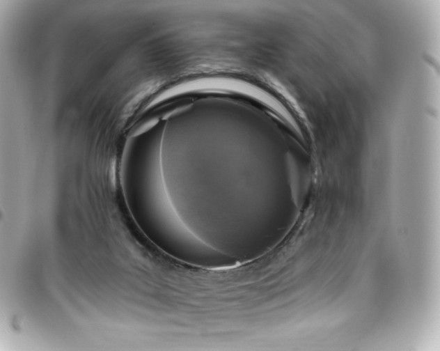X0000096430019200801241348