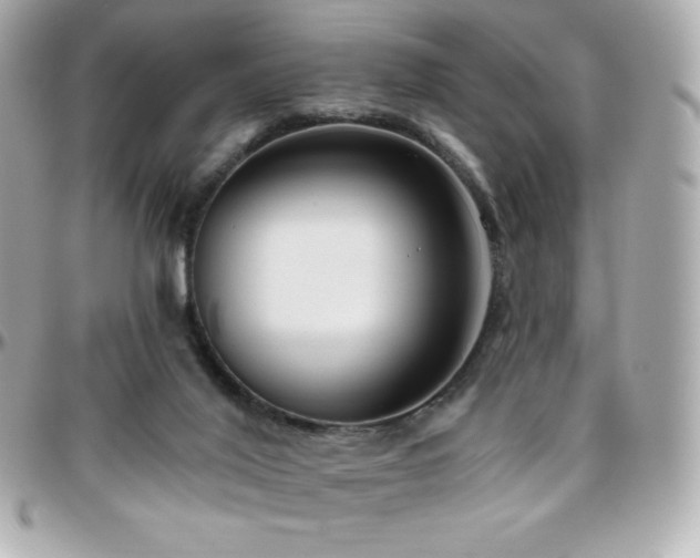 X0000096430020200801241348