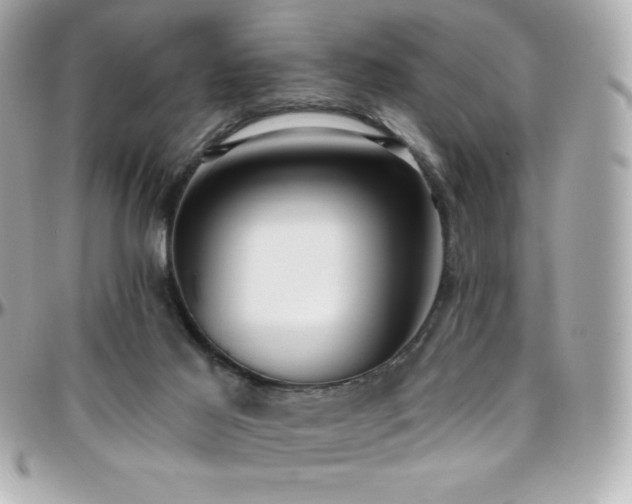 X0000096430021200801241348