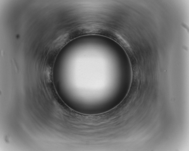 X0000096430026200801241348