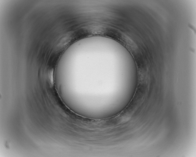X0000096430028200801241348