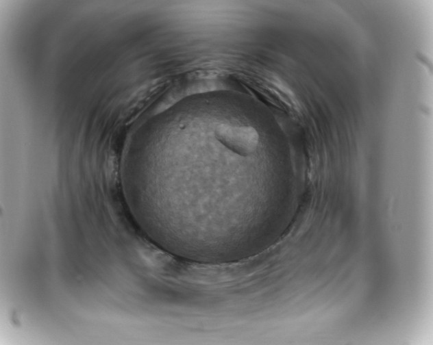 X0000096430029200801241348