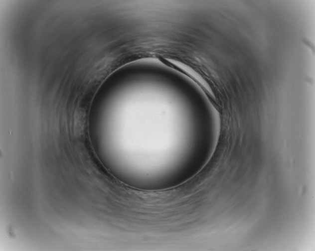 X0000096430030200801241348