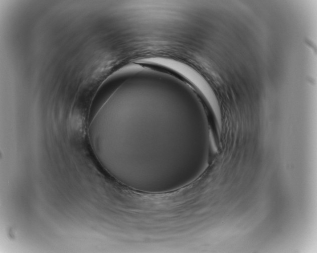 X0000096430031200801241348