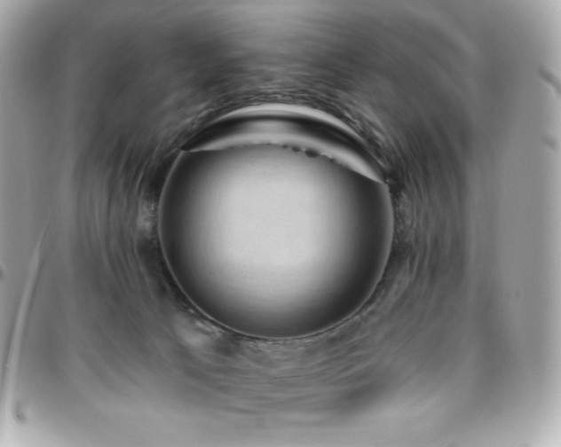 X0000096430033200801241348