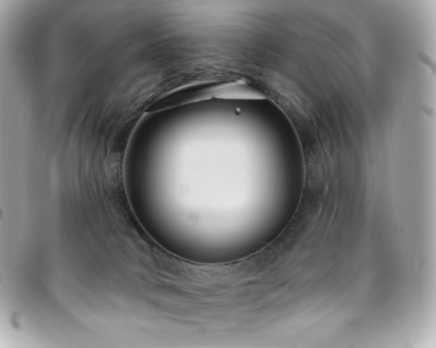 X0000096430034200801241348