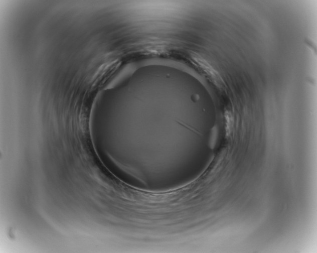 X0000096430035200801241348