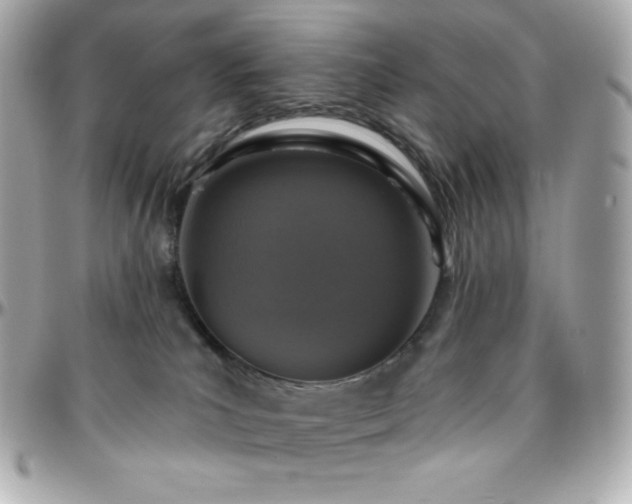 X0000096430039200801241348