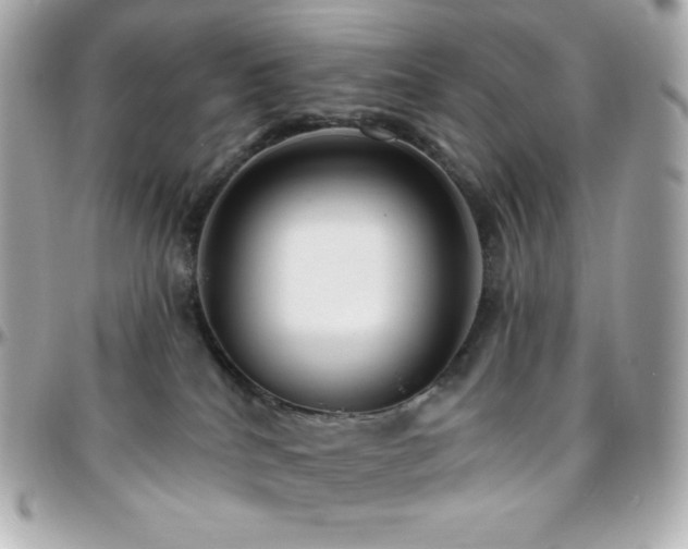 X0000096430040200801241348