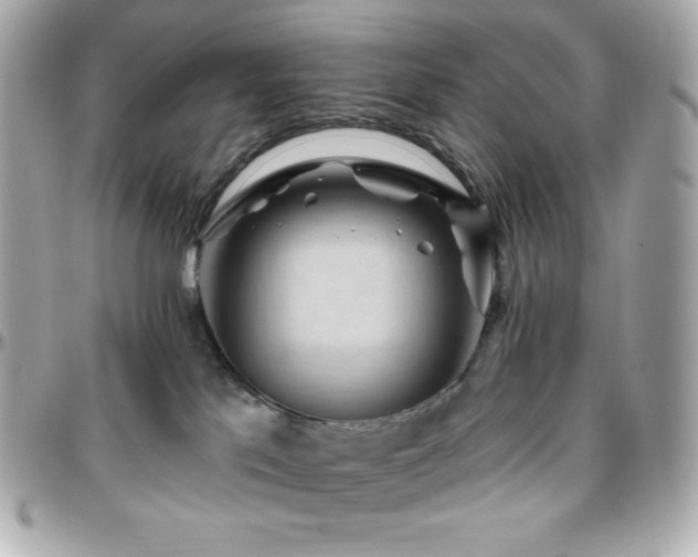 X0000096430041200801241348